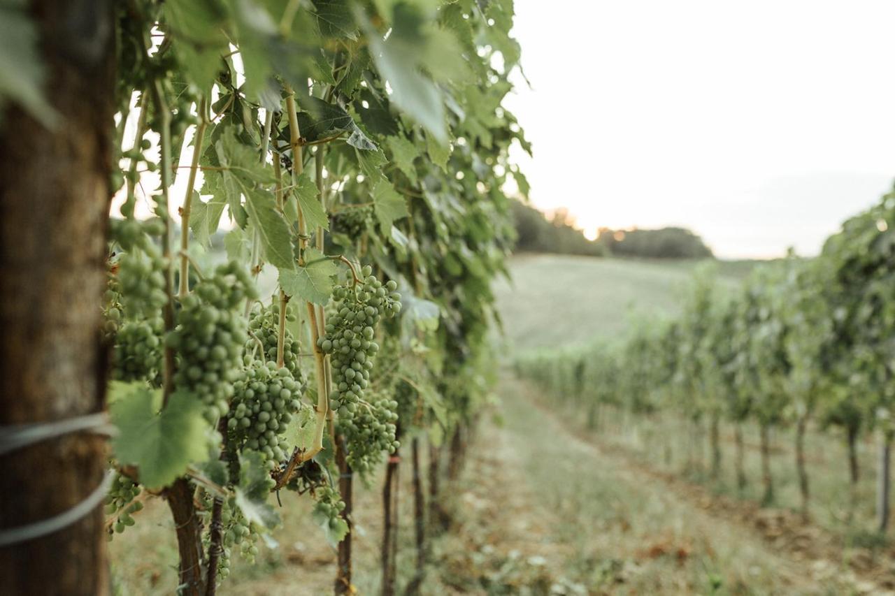Vila Perelli Winery Bucine Exteriér fotografie